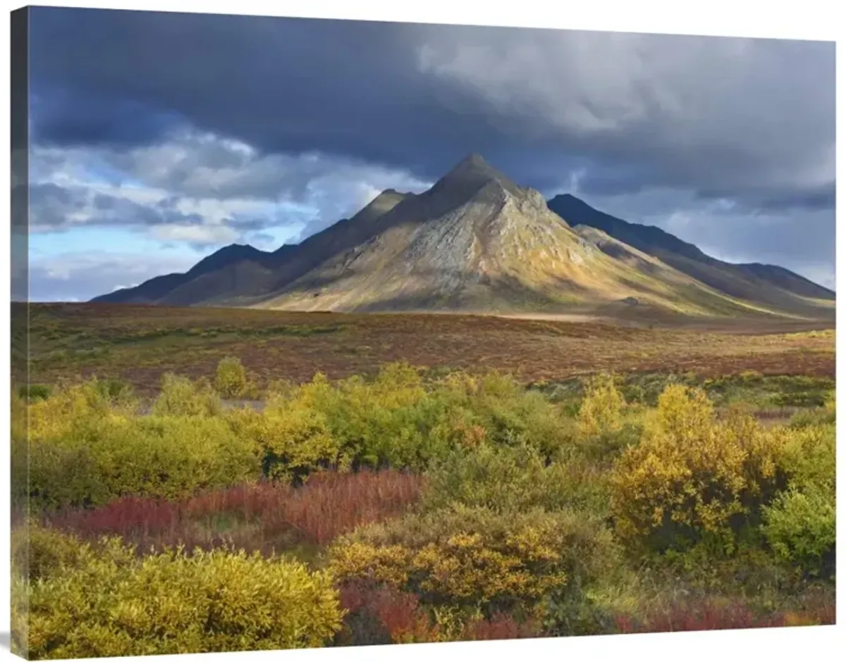 Ogilvie Mountains, Tombstone Territorial Park, Yukon, Canada-Canvas Art-40x30
