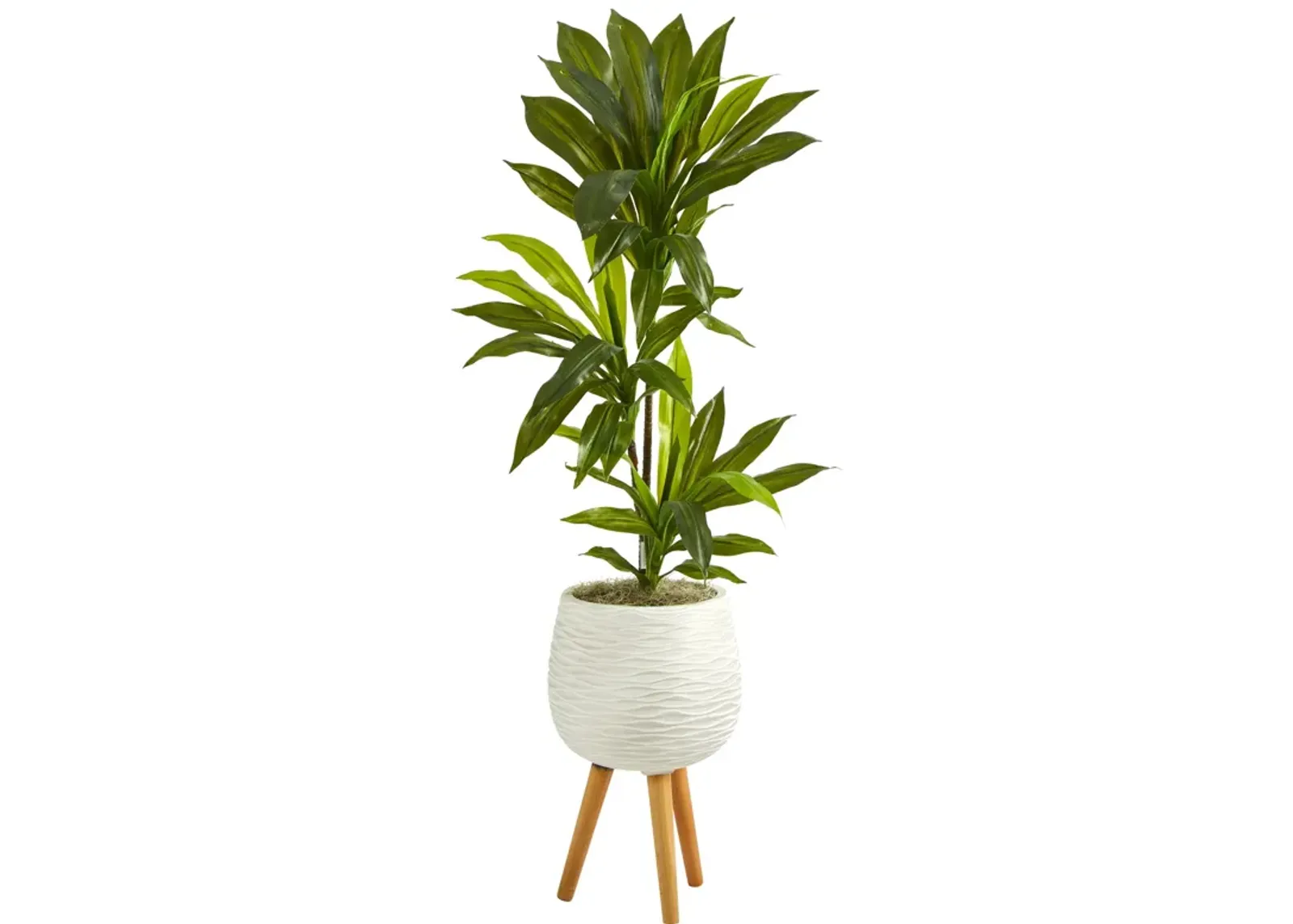 HomPlanti 46" Dracaena Artificial Plant in White Planter with Stand (Real Touch)