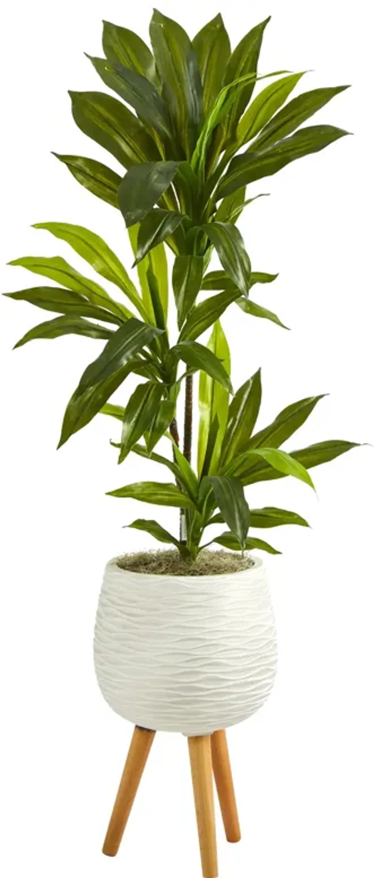 HomPlanti 46" Dracaena Artificial Plant in White Planter with Stand (Real Touch)