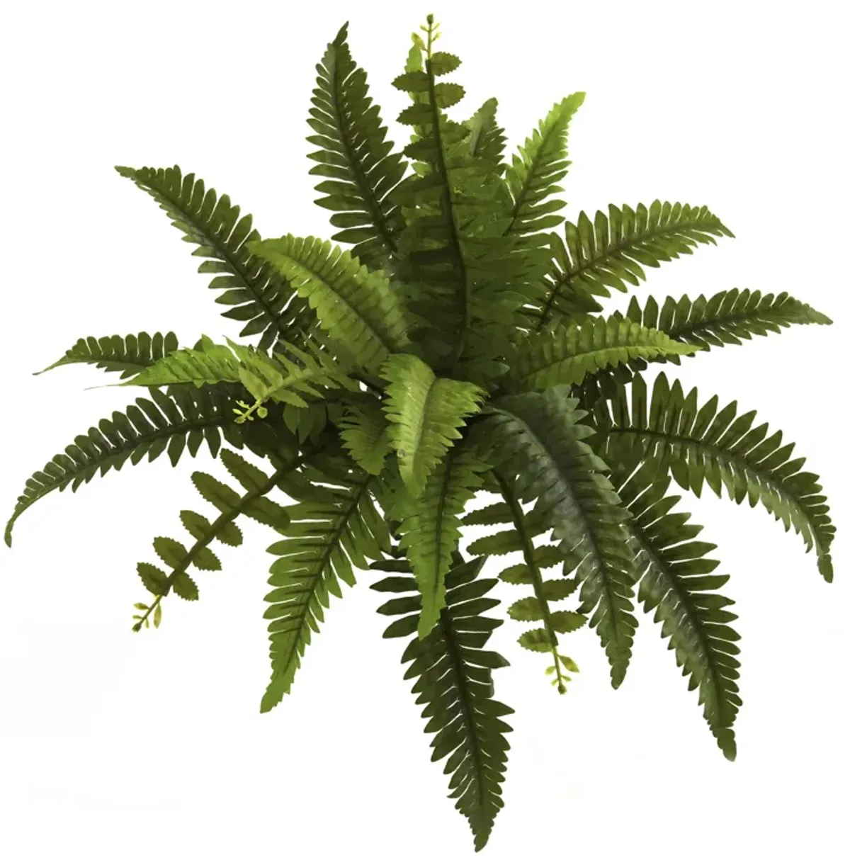 HomPlanti 14" Boston Fern Artificial Plant (Set of 6)