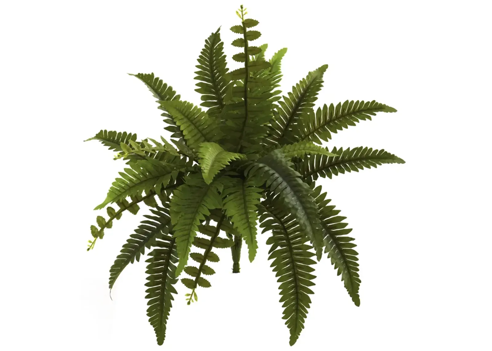 HomPlanti 14" Boston Fern Artificial Plant (Set of 6)