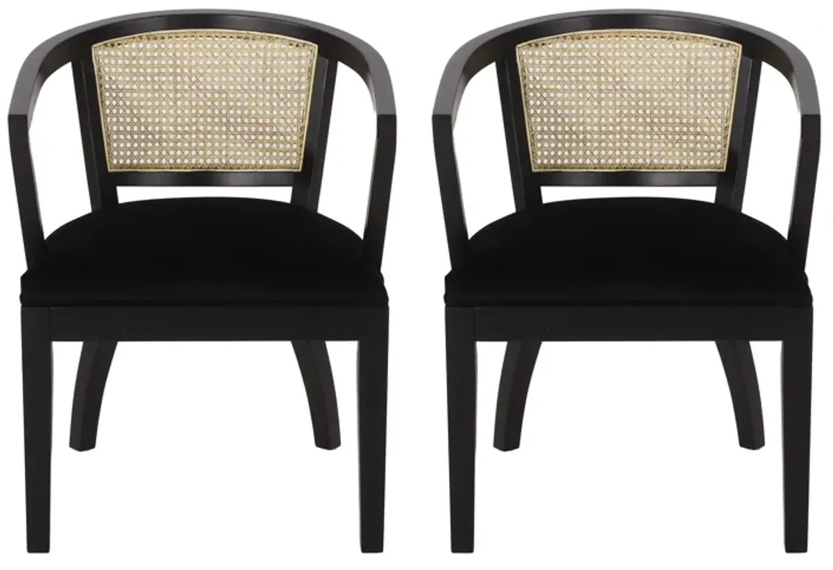 Dining Side Chair Set of 2, Classic Ivory Cane Back, Black Wood Finish - Benzara