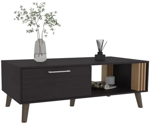 Lenoir Coffee Table, 1 Door, 1 Shelf, Black / Natural Oak