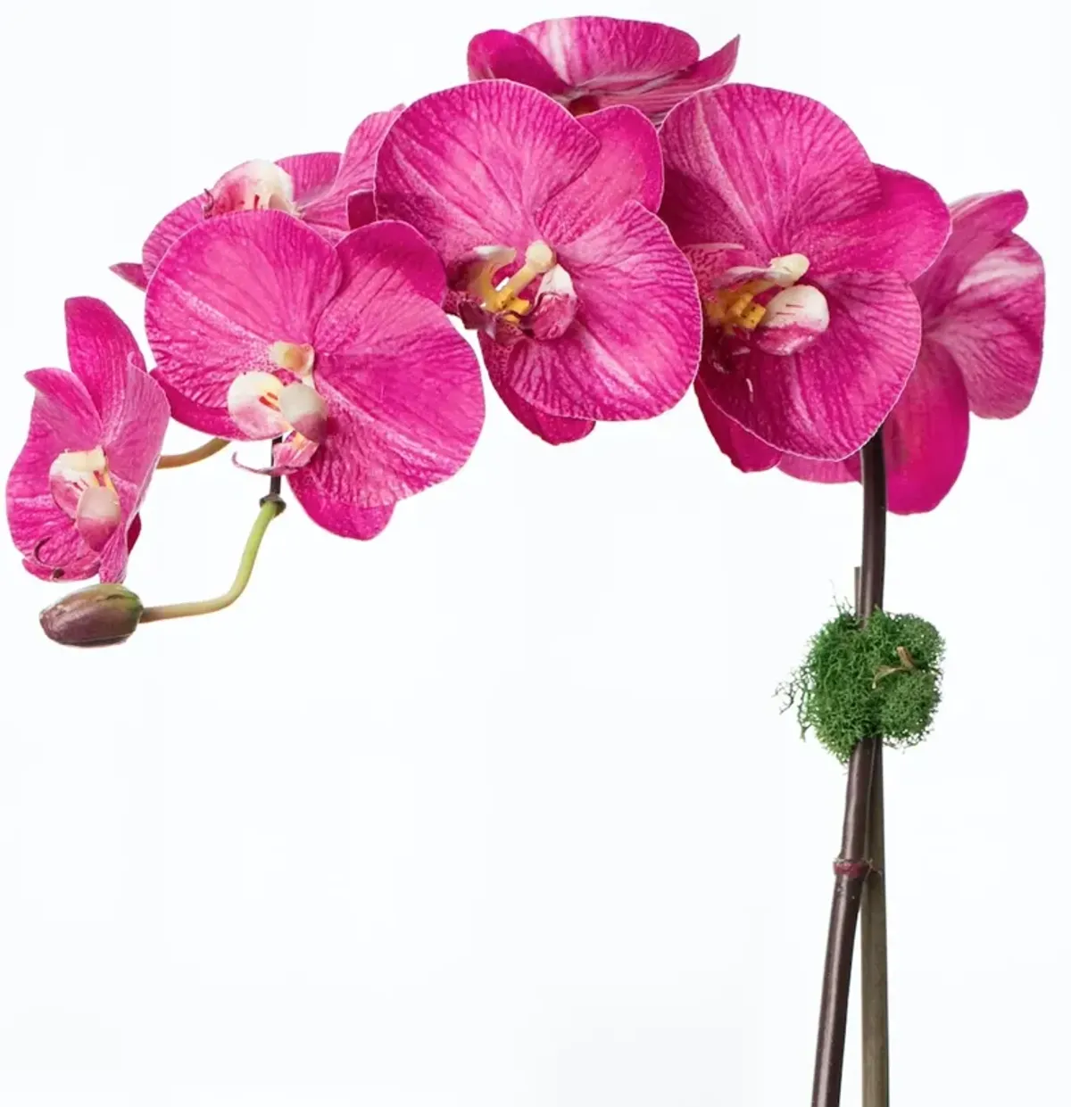 Large Artificial Orchid Arrangement In Glass Vase - 33”