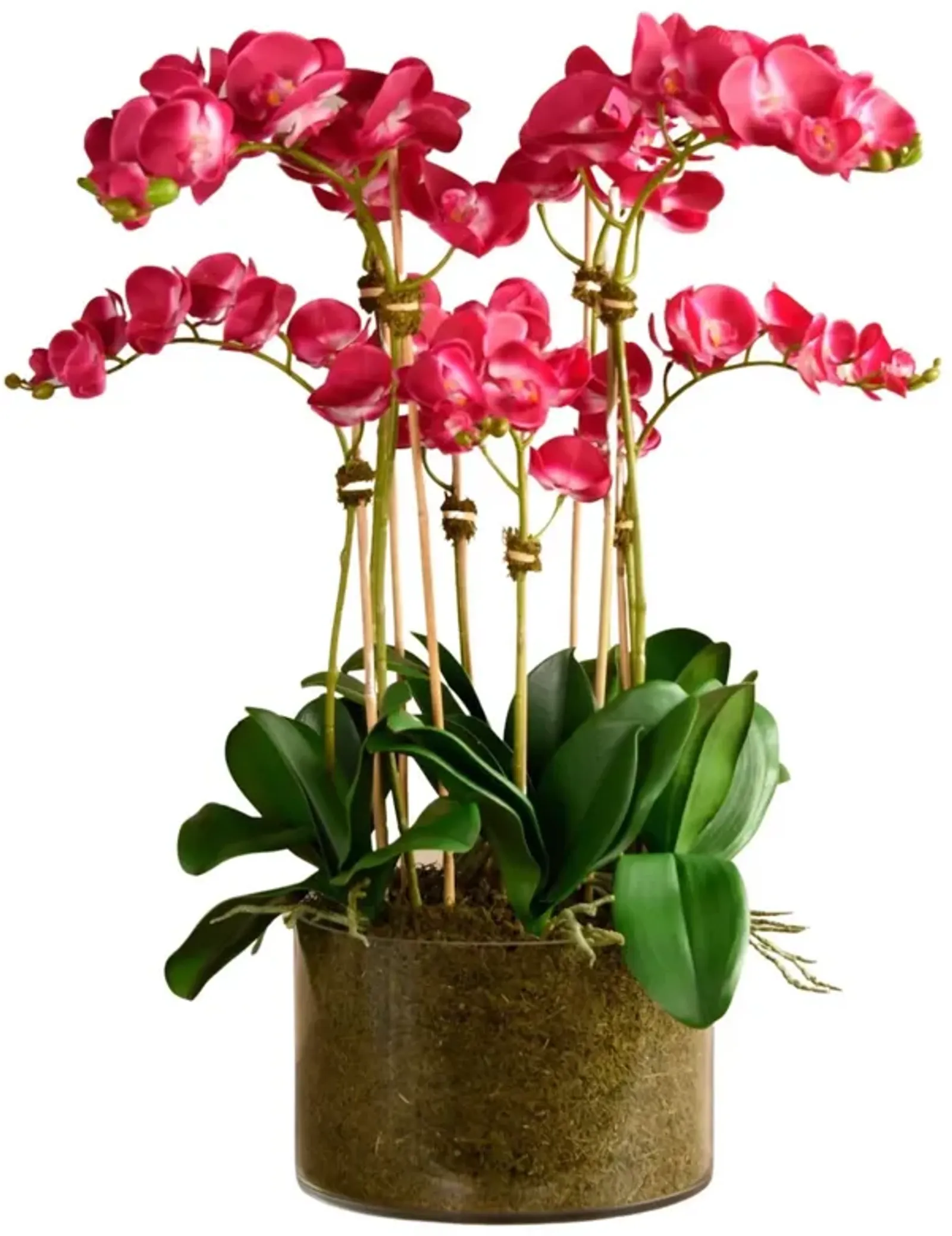 Large Artificial Orchid Arrangement In Glass Vase - 33”