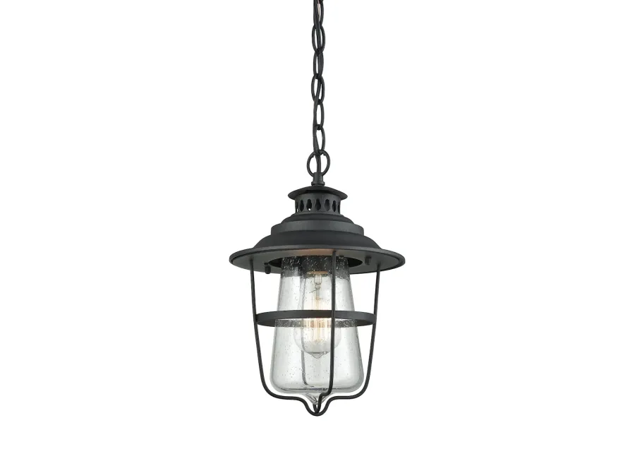 San Mateo 8'' Wide 1-Light Outdoor Pendant