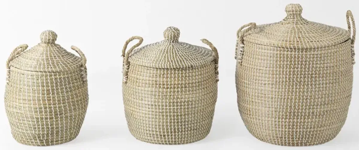 Olivia Basket (Set of 3)
