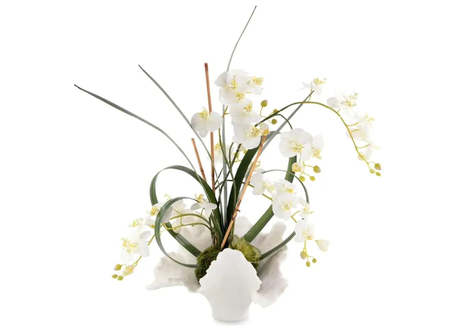 White Orchids