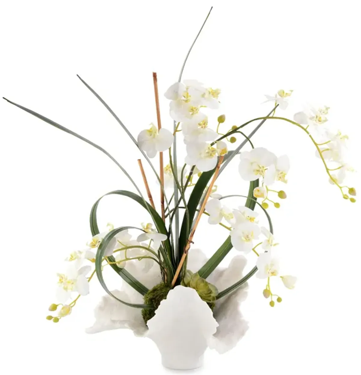 White Orchids