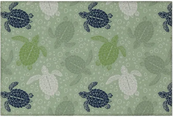 Seabreeze SZ13 Aloe 20" x 30" Rug