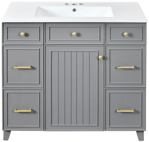 Whisen 36 in. Bathroom Storage Cabinet Bathroom Vanity with Resin Sink, Soft Closing Door and Drawer