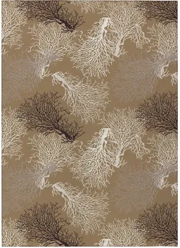Taupe color