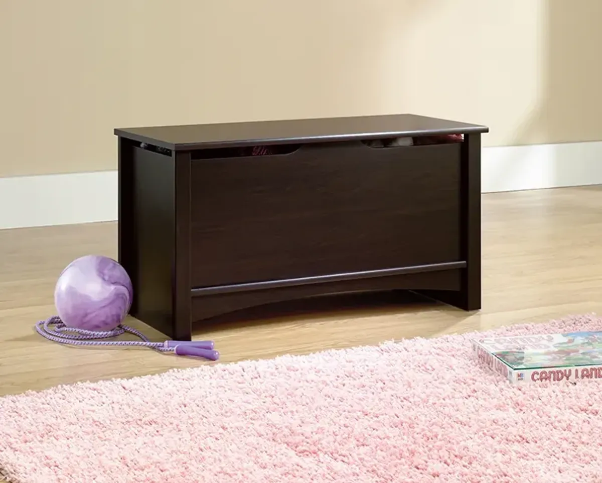 Shoal Creek Storage Chest