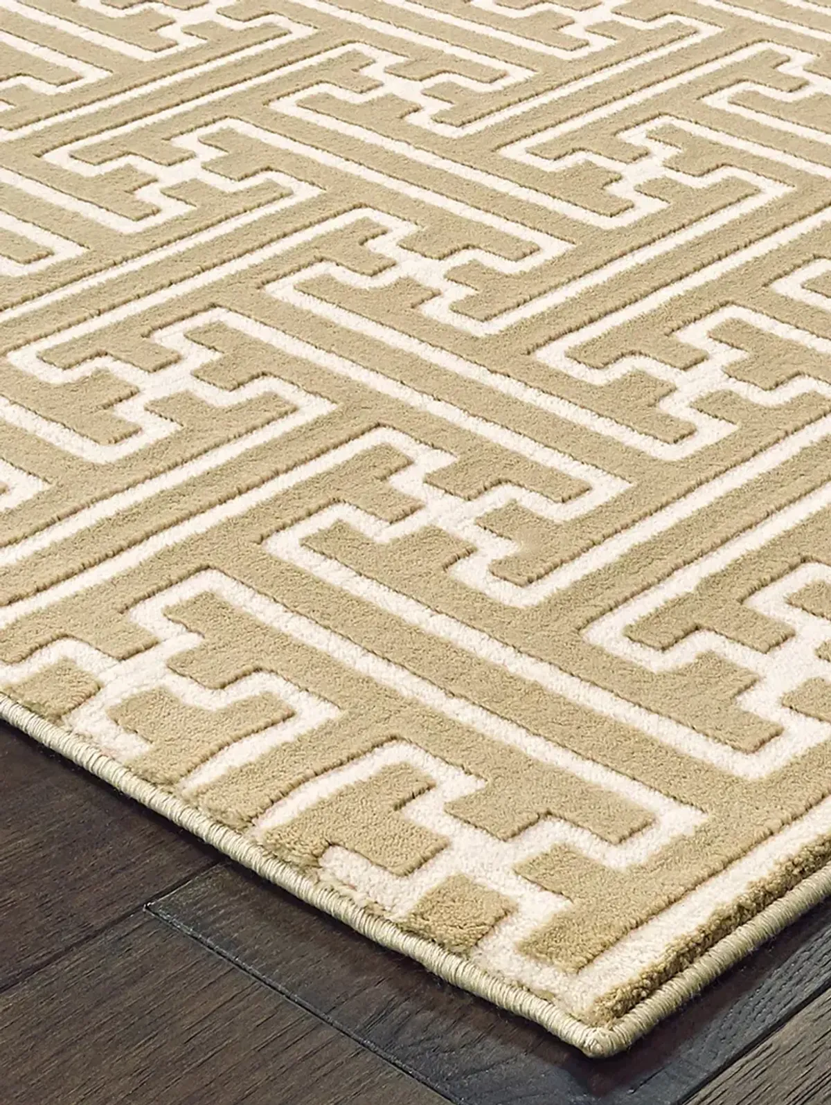 Bowen 3'10" x 5'5" Gold Rug