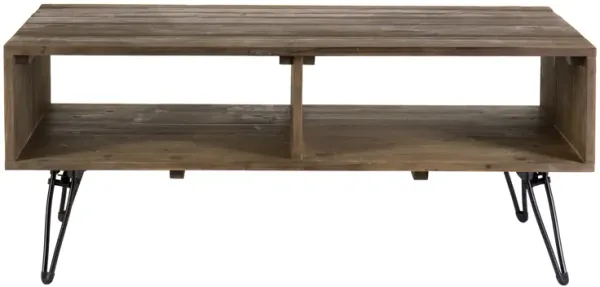 Betsy 42 Inch Reclaimed Wood Rectangle Farmhouse Coffee Table With Storage, Iron Legs, Natural Brown-Benzara