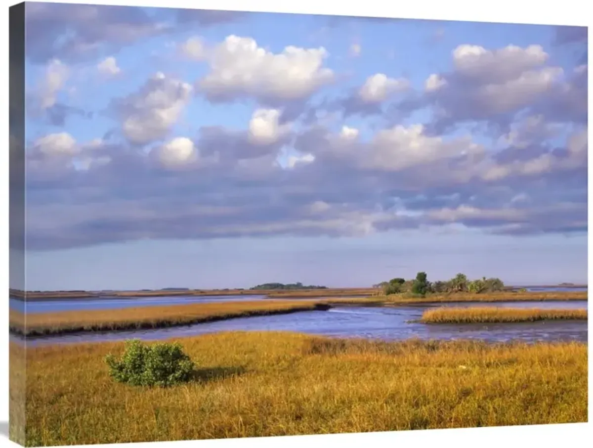 Saltwater marshes at Cedar Key, Florida-Canvas Art-32x24