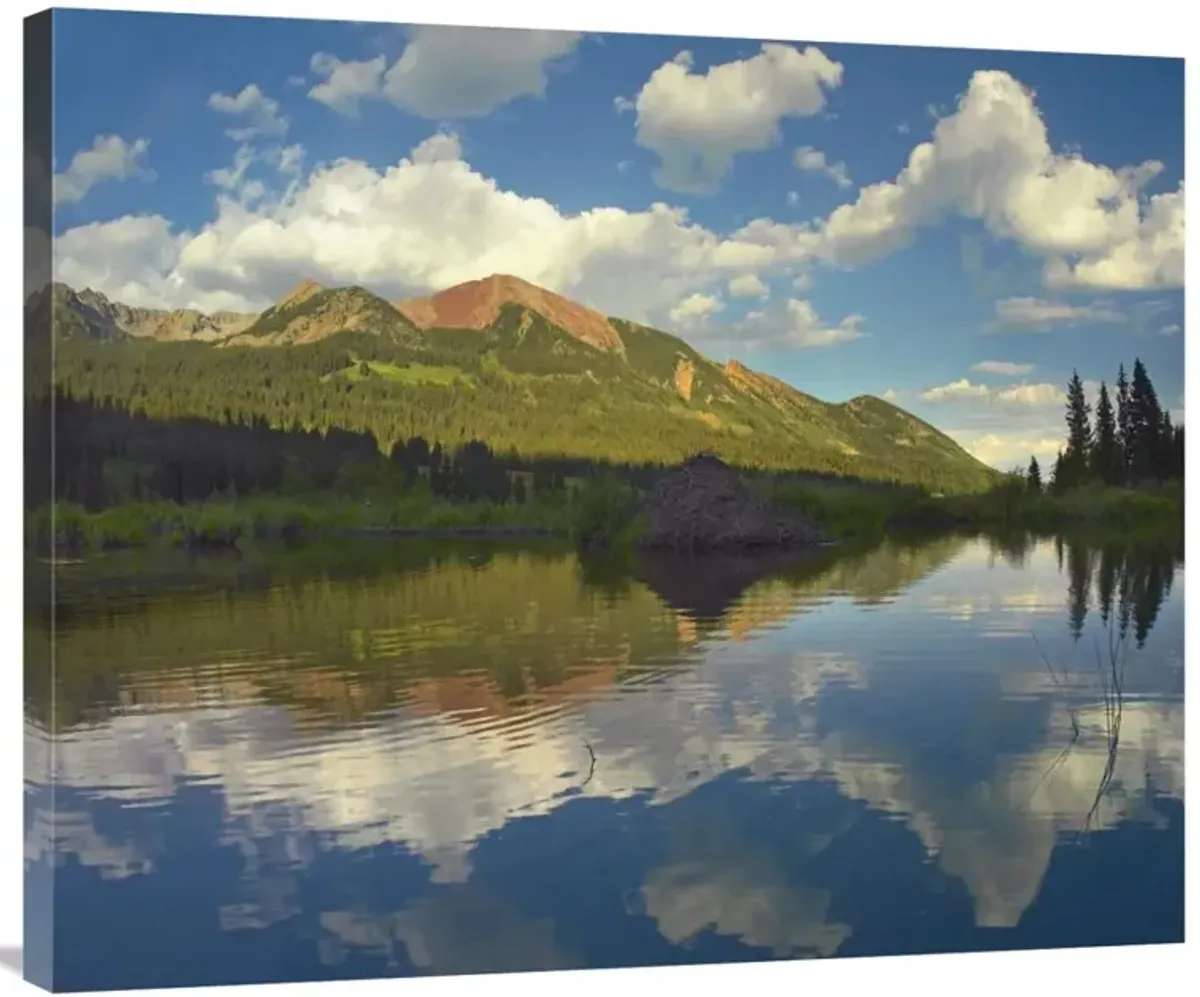 Avery Peak reflected in beaver pond, San Juan Mountains, Colorado-Canvas Art-36x29.88