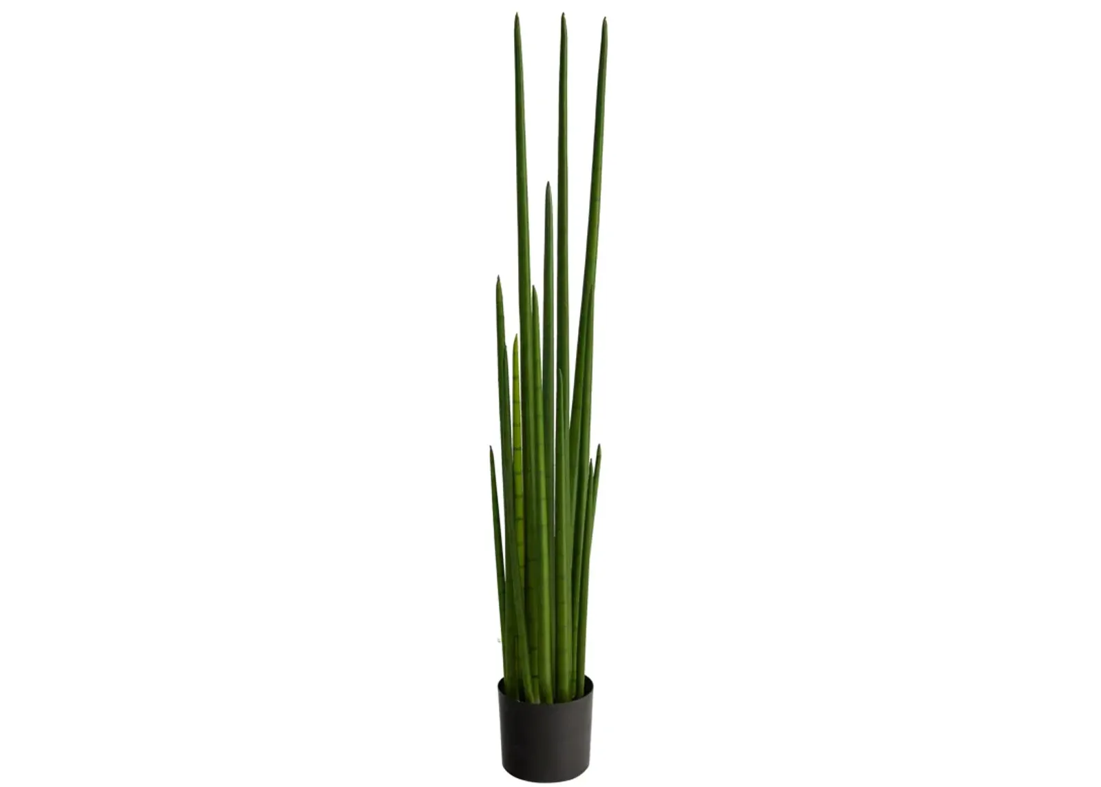 HomPlanti 5" Sansevieria Snake Artificial Plant