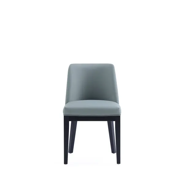 Gansevoort Blue Dining Chairs (Set of 4)