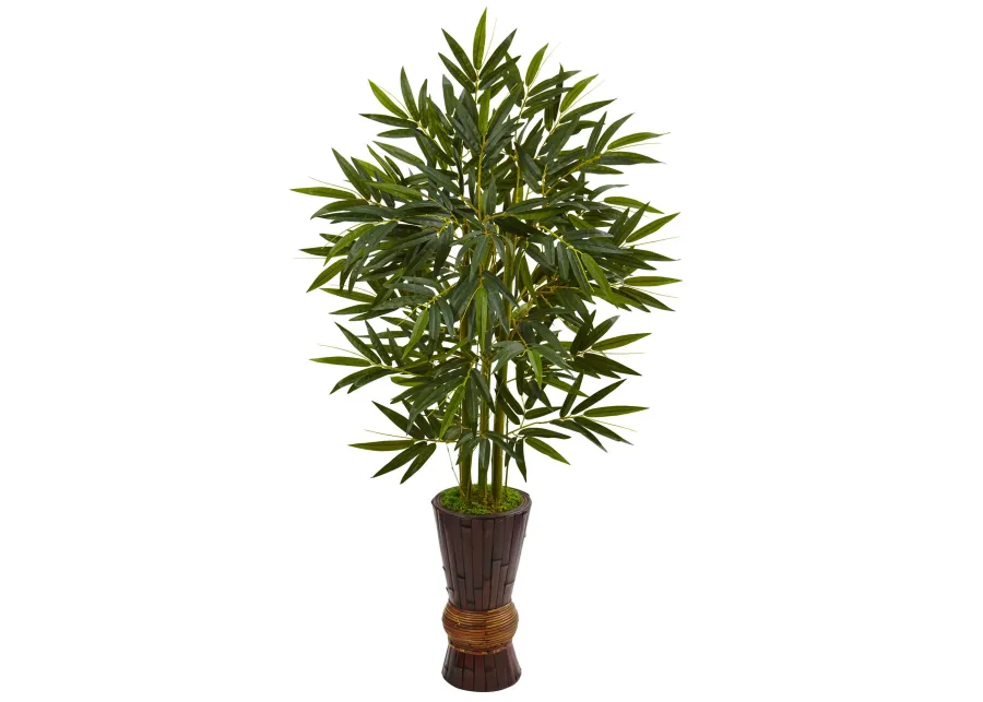 HomPlanti 5 Feet Bamboo Tree in Bamboo Planter