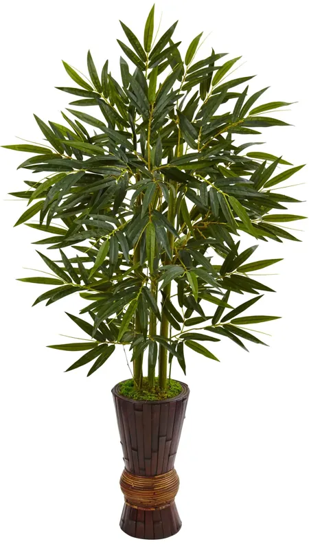 HomPlanti 5 Feet Bamboo Tree in Bamboo Planter