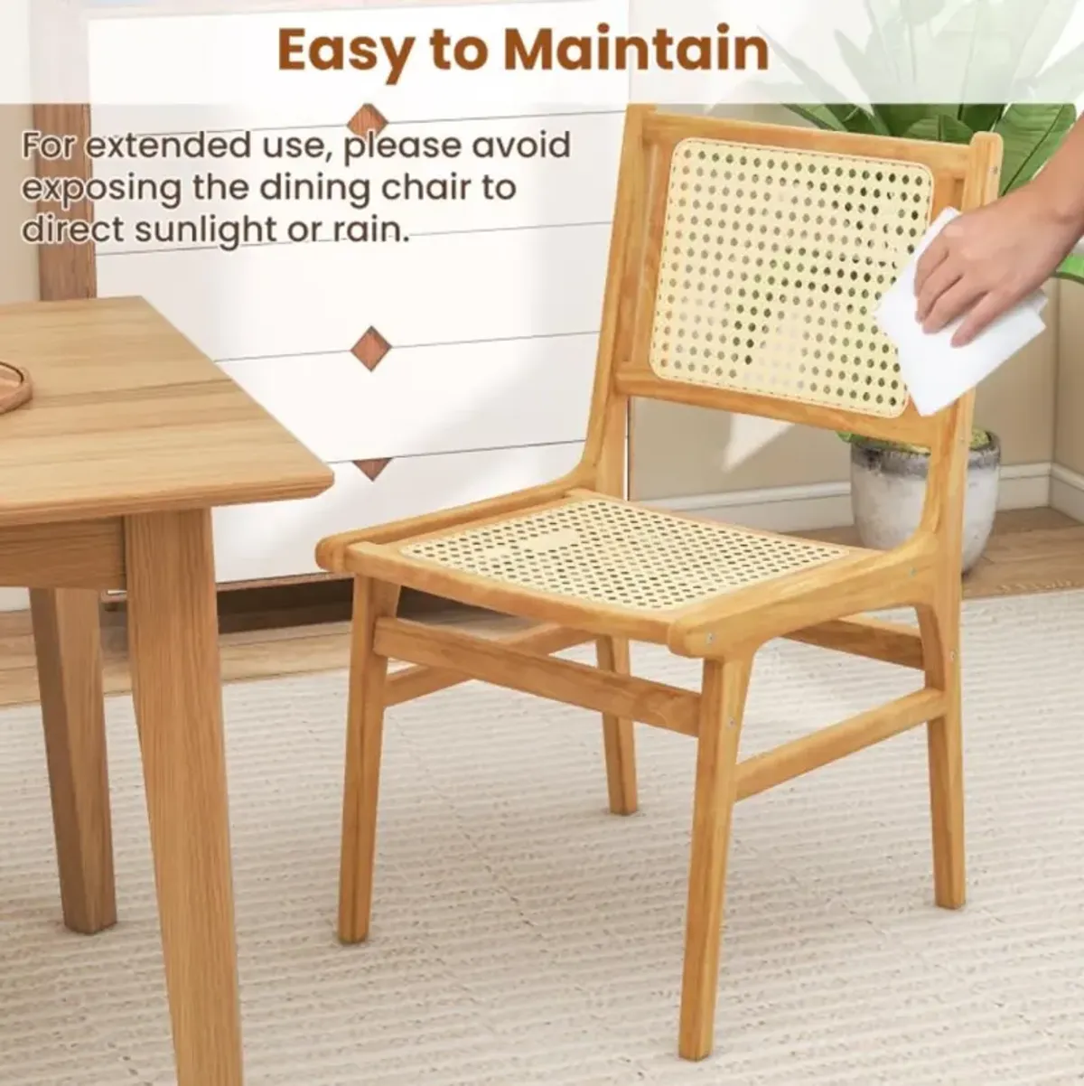 Hivvago Rattan Dining Chair with Natural Cane Woven Backrest and Teak Wood Frame