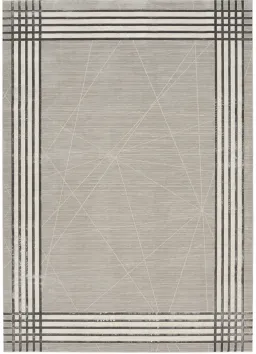 Gray Silver color