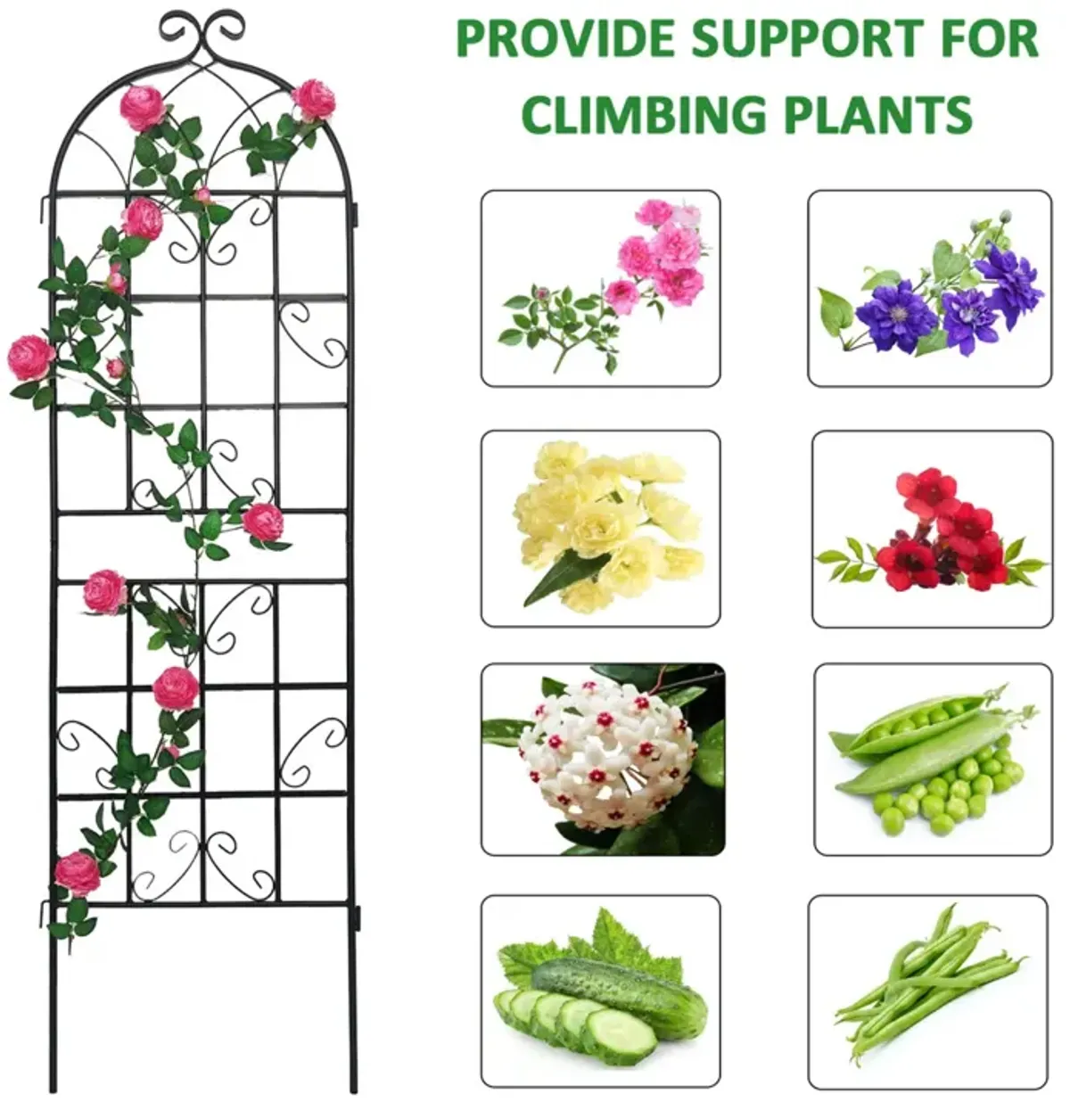 Metal Garden Trellis 71" x 19.7" for Climbing Plants