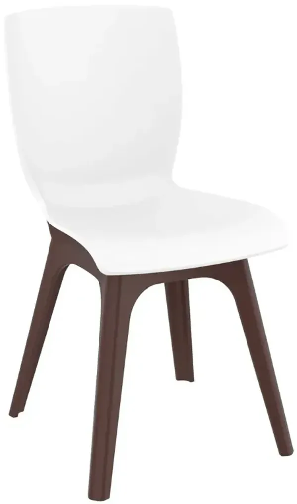 Belen Kox Modern Chair, Set Of 2, Brown White, Belen Kox