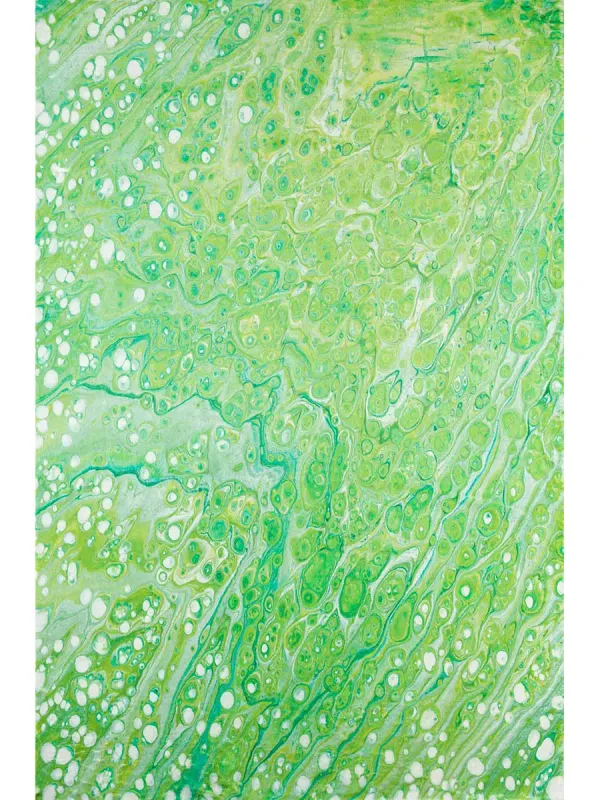 Kikiamo KK5 Lime-In 3' x 5' Rug