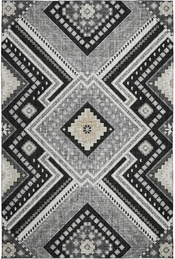 Portico PO5 Black 30" x 46" Rug