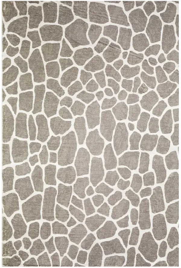 Akina AK4 Stone 3' x 5' Rug