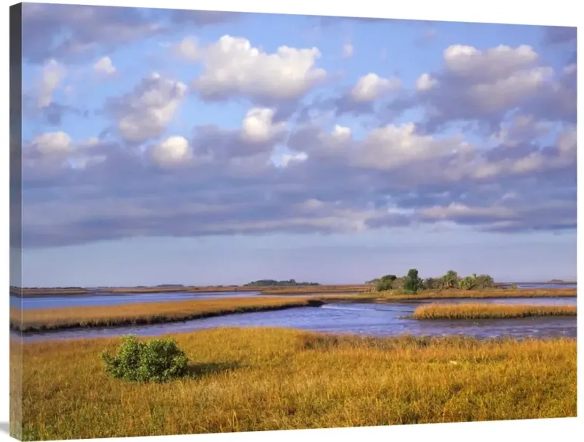Saltwater marshes at Cedar Key, Florida-Canvas Art-40x30