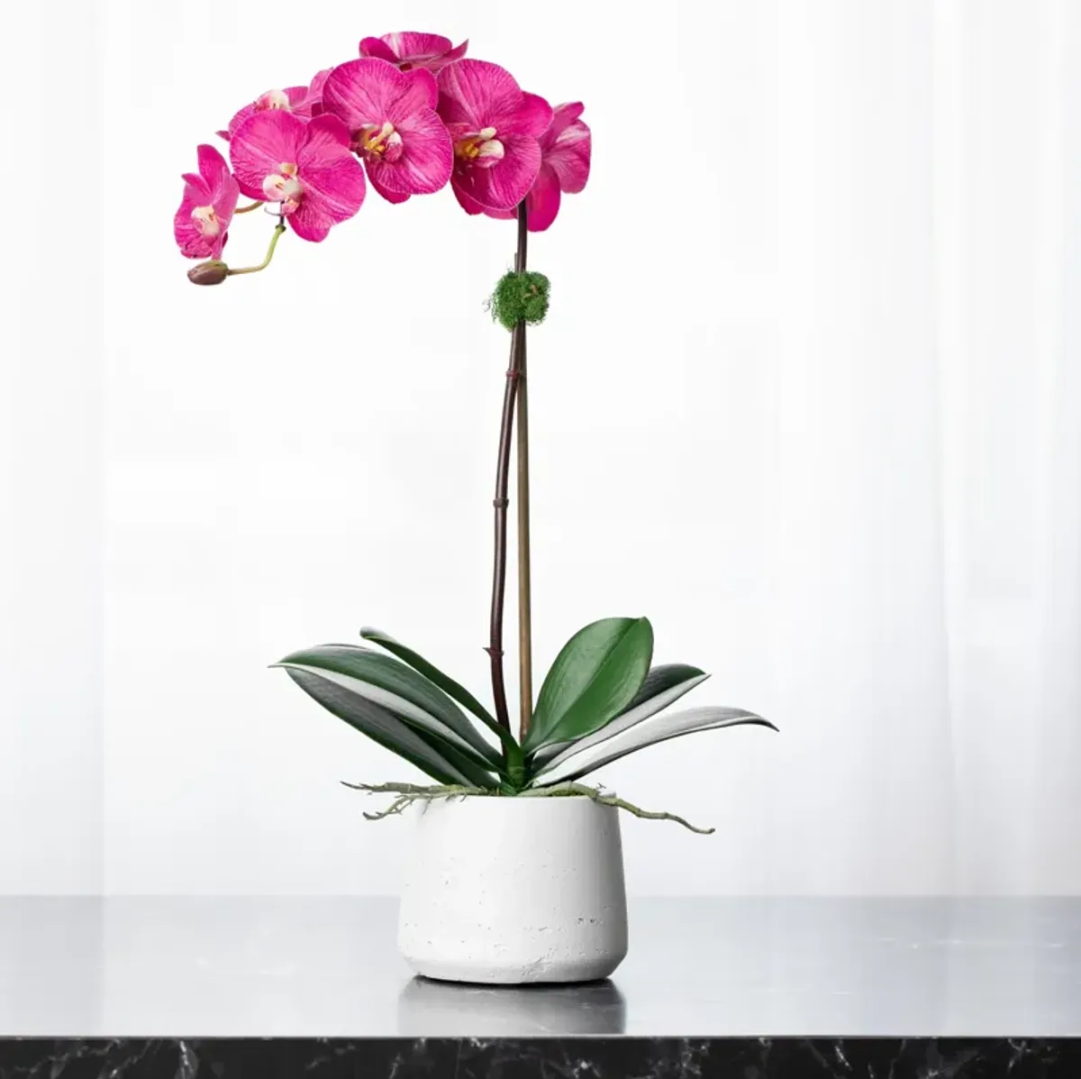 Silk Orchid Plant - Pink Phalaenopsis Orchid- 21"