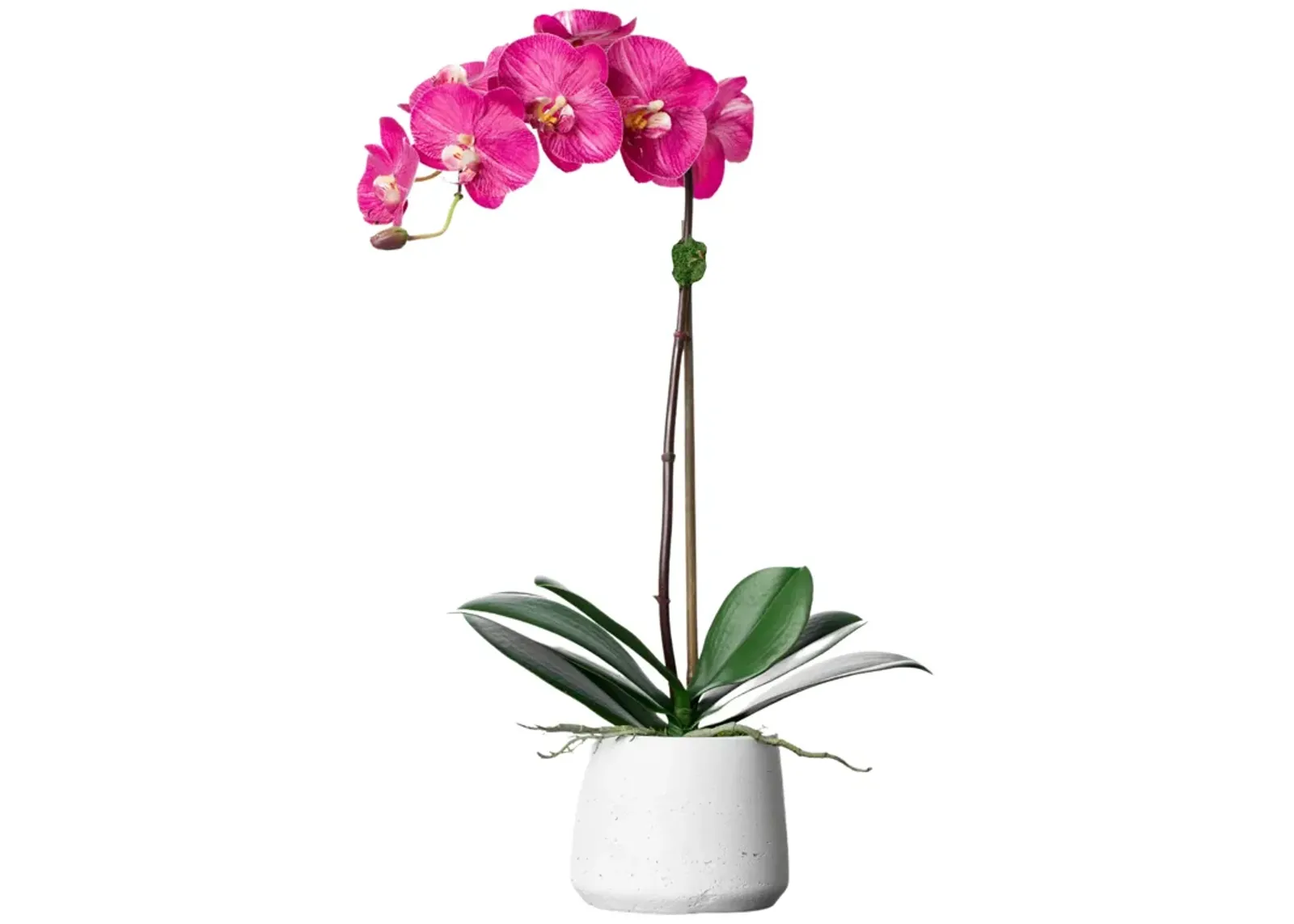 Silk Orchid Plant - Pink Phalaenopsis Orchid- 21"