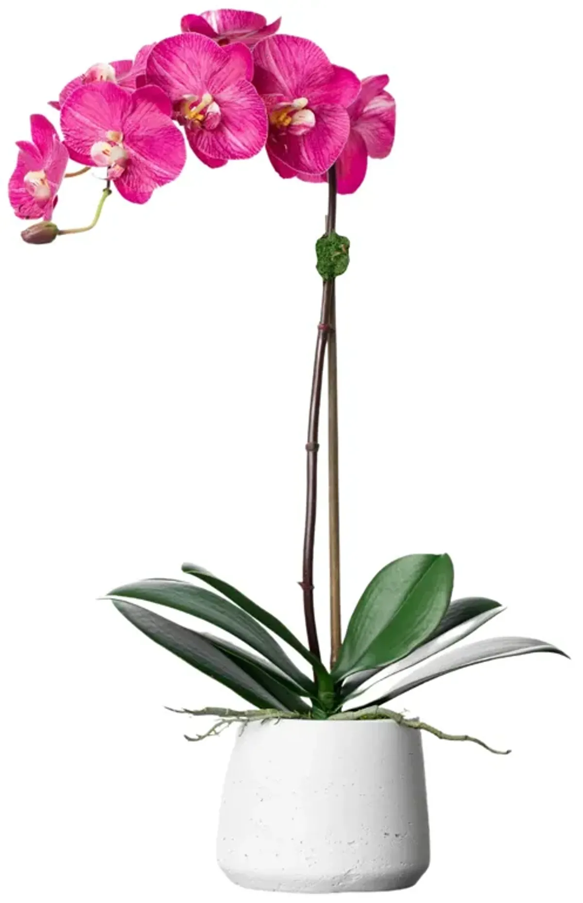 Silk Orchid Plant - Pink Phalaenopsis Orchid- 21"