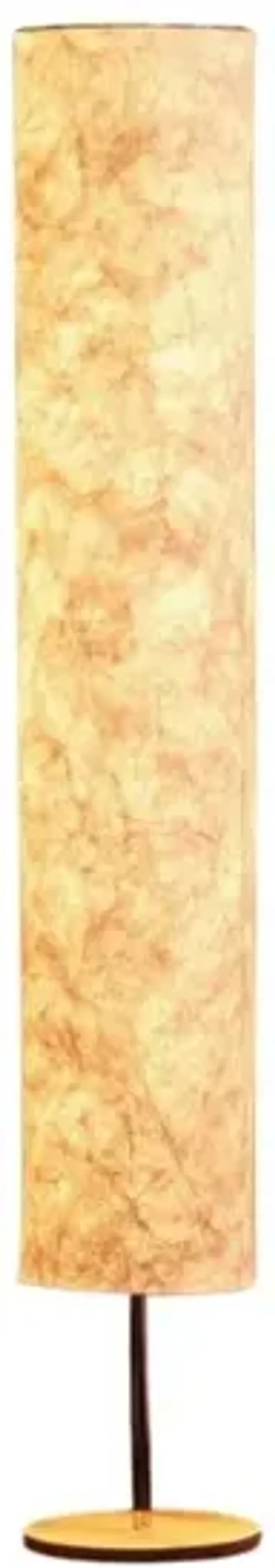 Soft Light Floor Lamp – 58" Tall, Tyvek Shade, Remote-Controlled, 3-Color LED