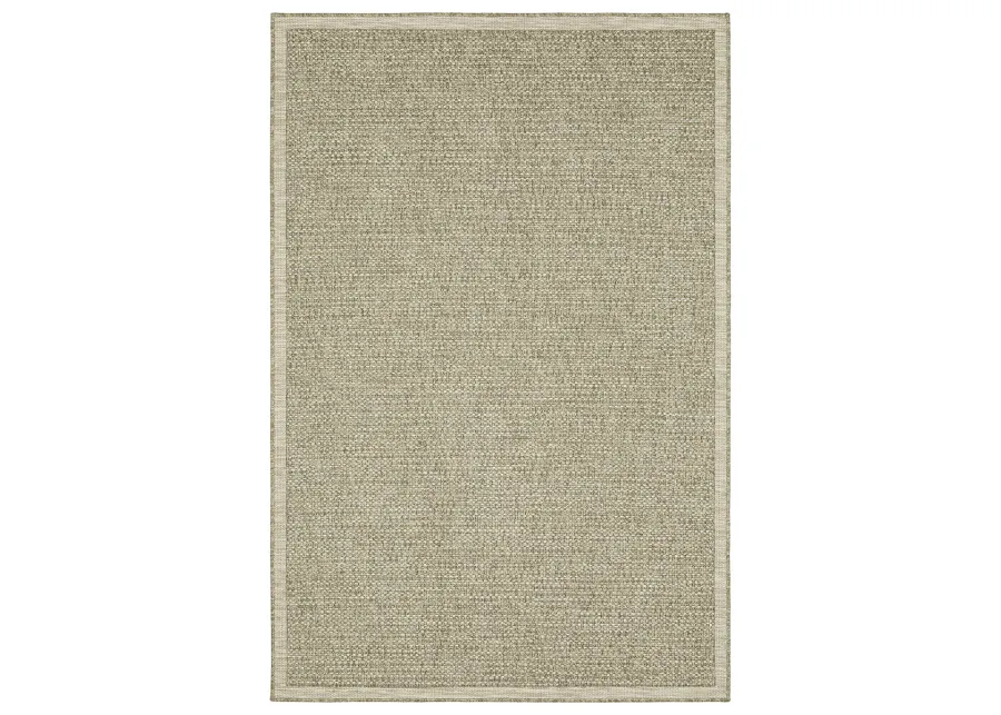 Tortuga 3'3" x 5' Beige Rug