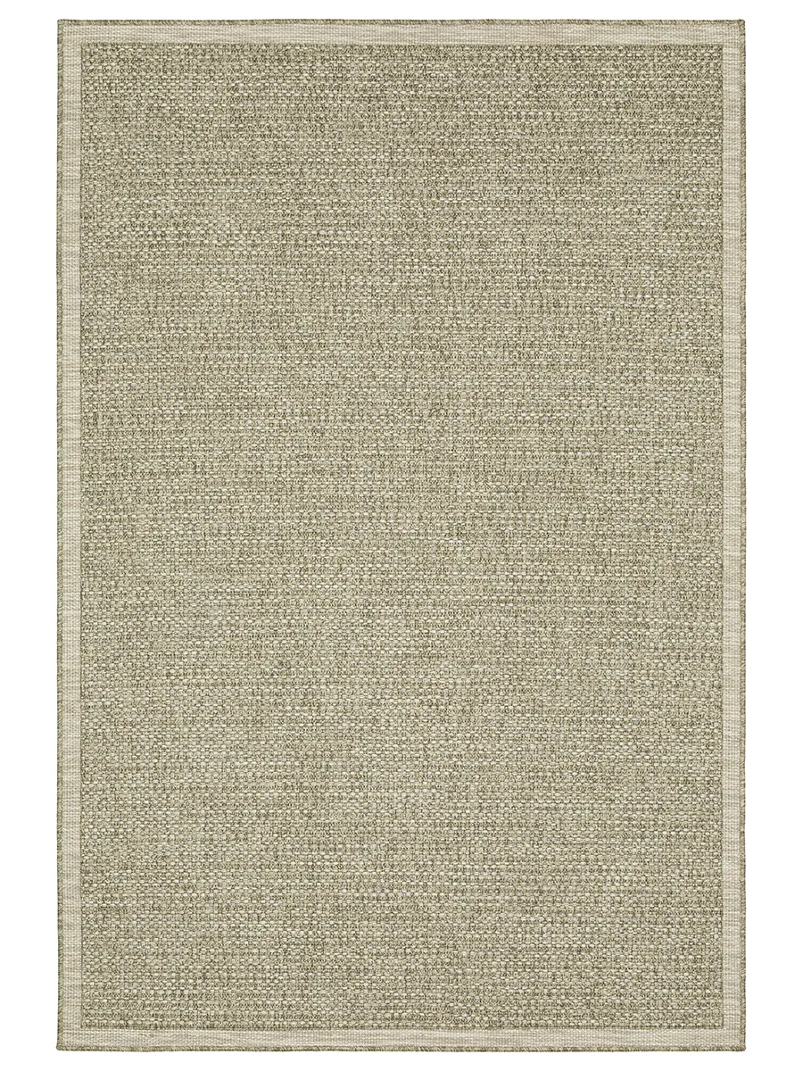 Tortuga 3'3" x 5' Beige Rug