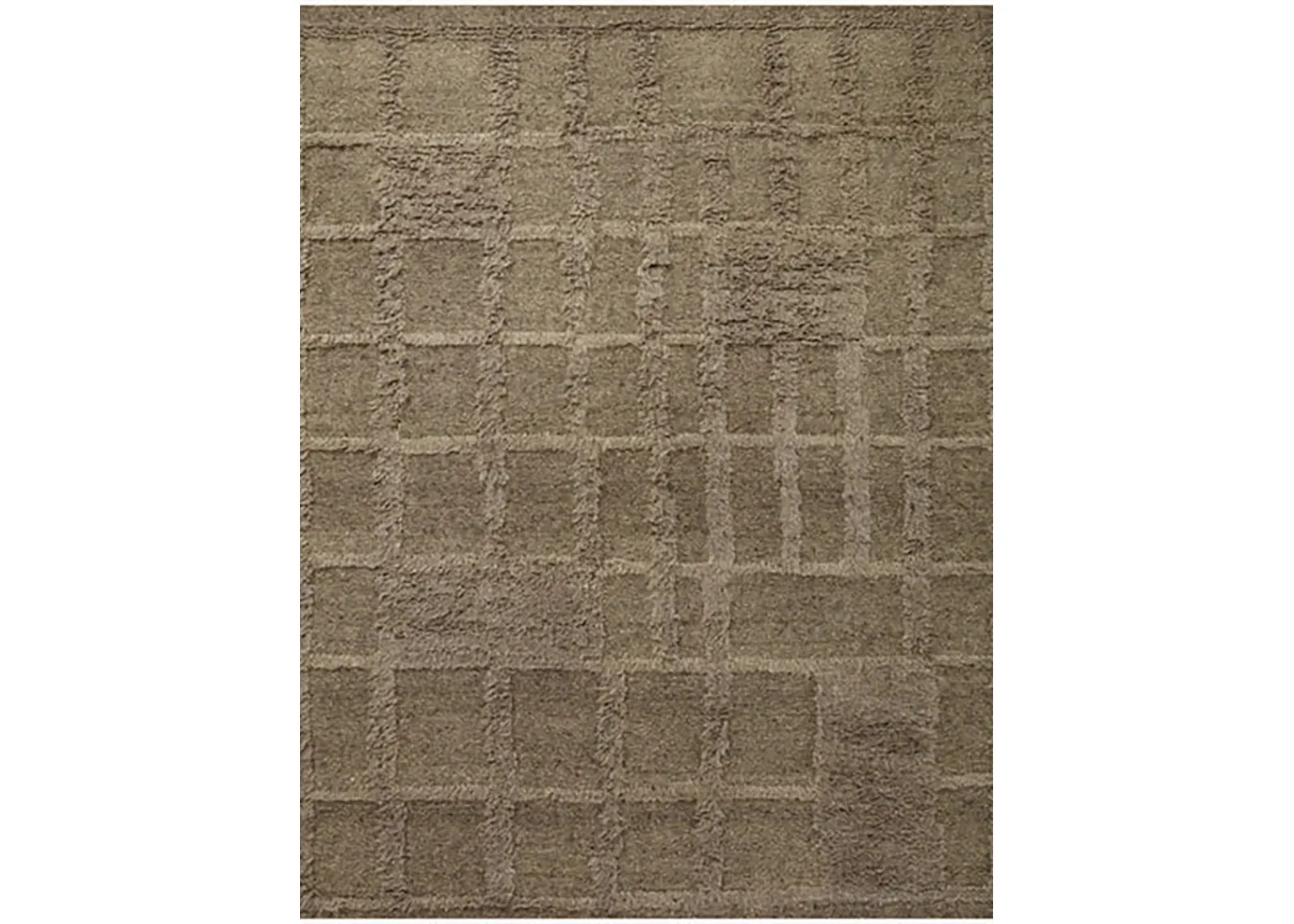 Cassian CAI01 Sage 9'6" x 13'6" Rug