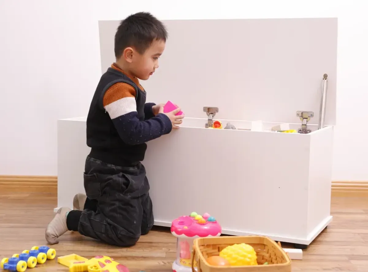 Large Storage Toy Box with Soft Closure Lid, Wooden Organizing Furniture Storage Chest, Brown