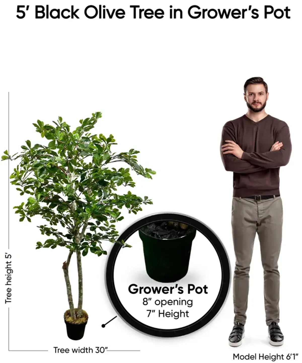 Handmade 5' Artificial Black Olive Tree In Home Basics Plastic Pot Made with Real Wood and Moss Accents