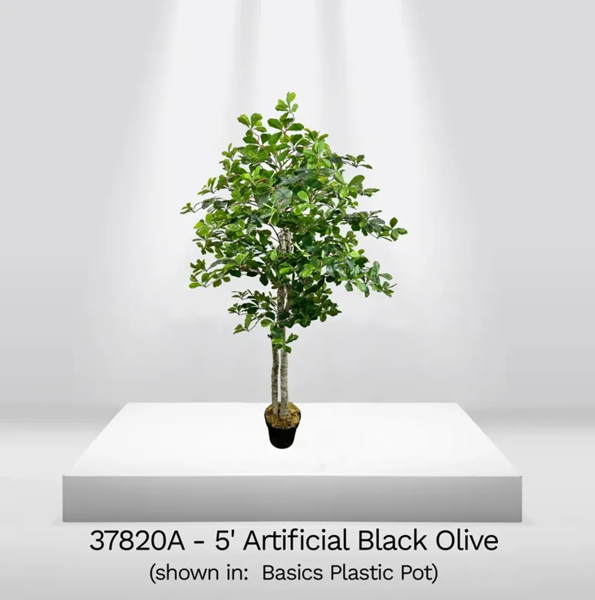 Handmade 5' Artificial Black Olive Tree In Home Basics Plastic Pot Made with Real Wood and Moss Accents