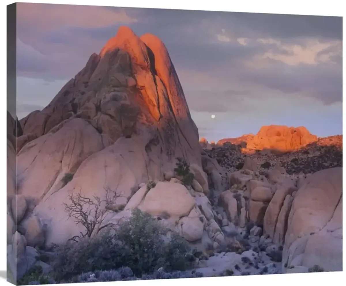 Moon over rocks, Joshua Tree National Park, California-Canvas Art-30x24.9