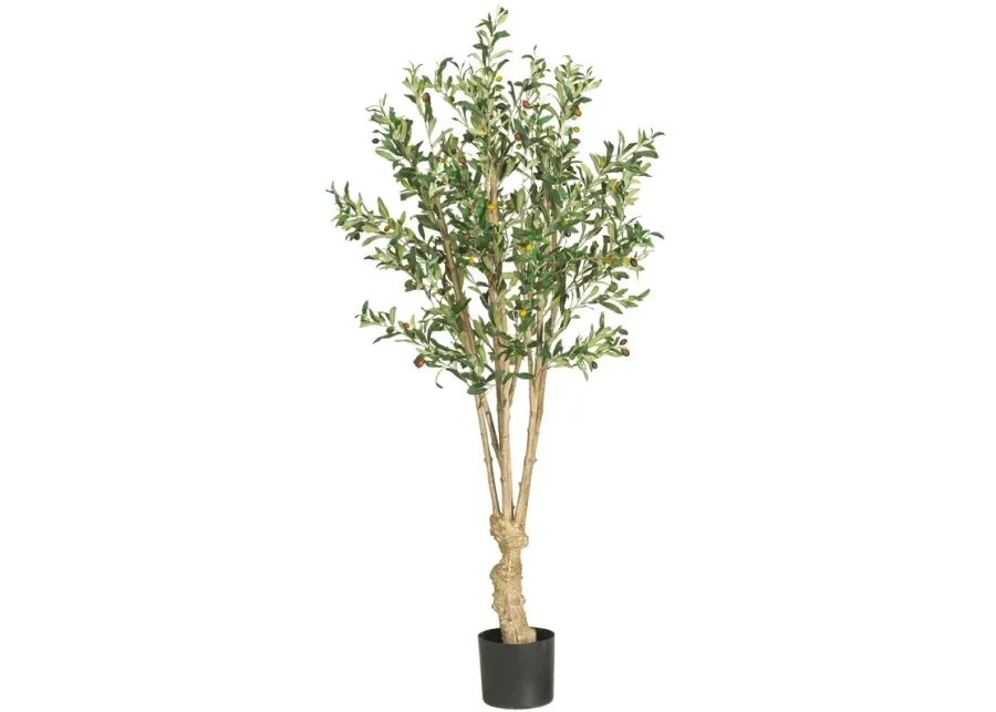 HomPlanti 5 Feet Olive Silk Tree