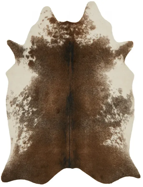 Grand Canyon Coffee/Ivory 6'2" x 8' Rug