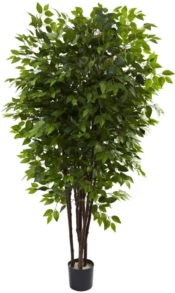 Nearly Natural 6.5-in Deluxe Ficus Tree w/2520 Lvs
