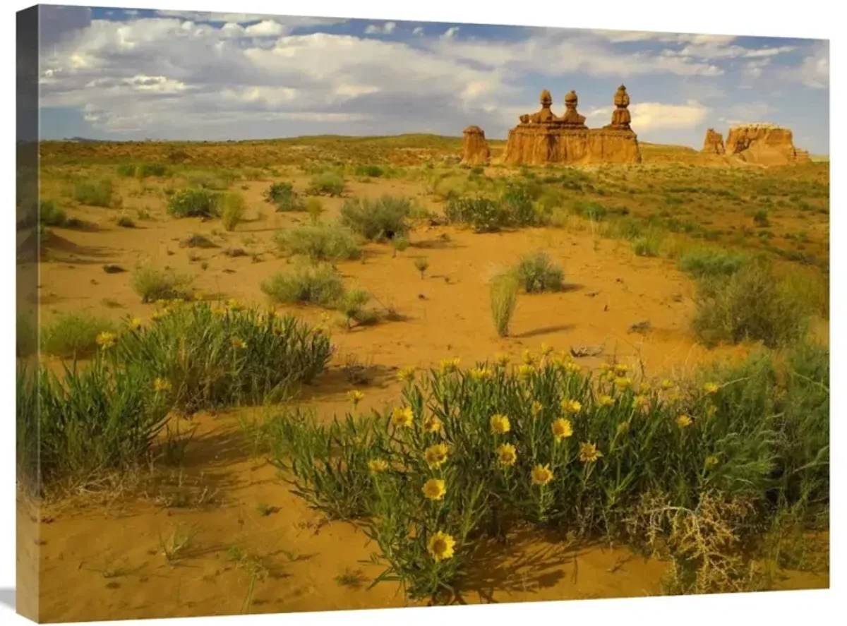 The Three Judges, Goblin Valley State Park, Utah-Canvas Art-32x24