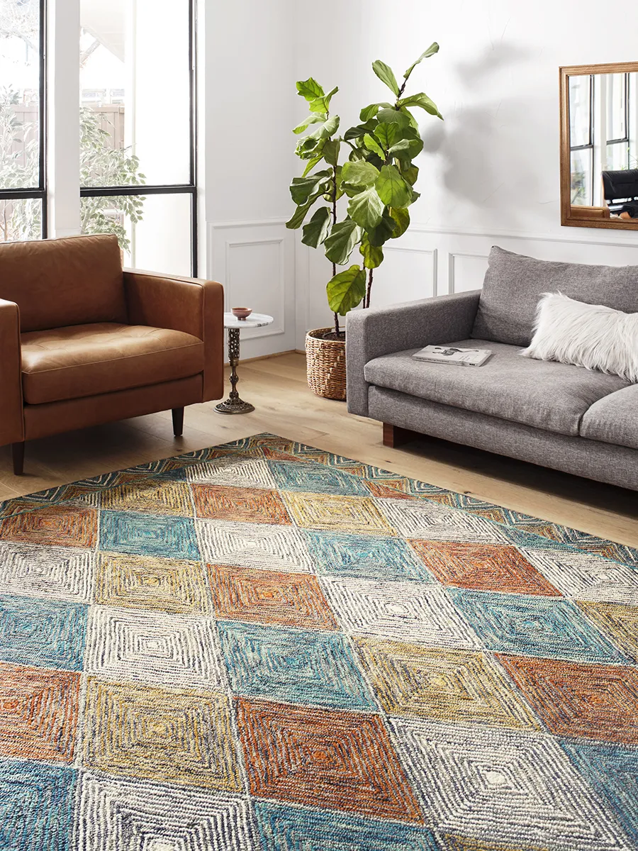 Spectrum SPE02 2'" x 5'" Rug