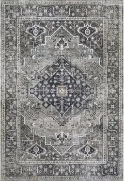 Dark Gray/Light Gray color